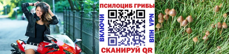 Купить  Усинск  Галлюциногенные грибы Cubensis 
